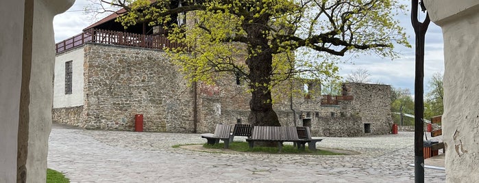 Slezskoostravský hrad is one of Tipy na výlet - Hrady, zámky a zříceniny.