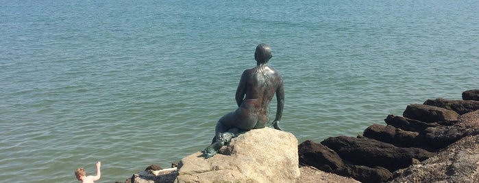 The Folkestone Mermaid is one of Folkestone.