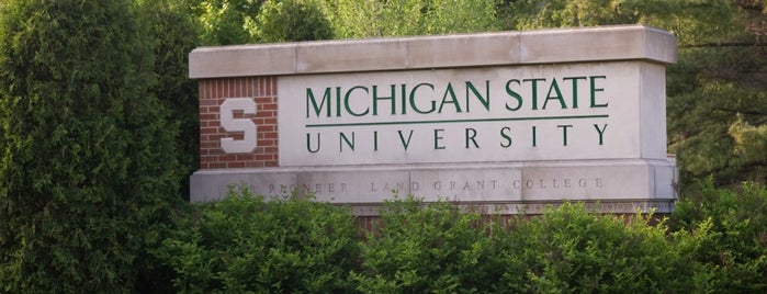 Университет штата Мичиган is one of MSU.