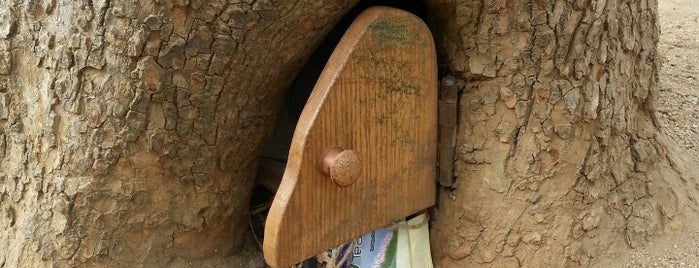The Elf Door is one of Lieux sauvegardés par Mariada.