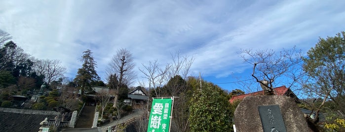 醫王山 金剛寺 is one of 神奈川散歩.