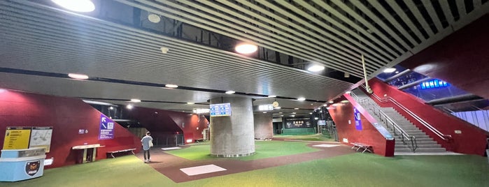 Taoyuan Airport MRT (A19) Taoyuan Sports Park Station is one of 2017/11/10-11台湾.
