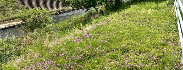 境川の芝桜 is one of 境川ポタ♪.