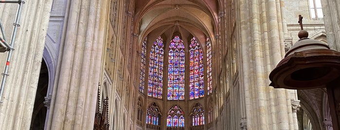 Cathédrale Saint-Gatien is one of Tours (France).
