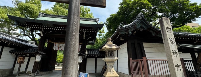白峯神宮 is one of 参拝神社.