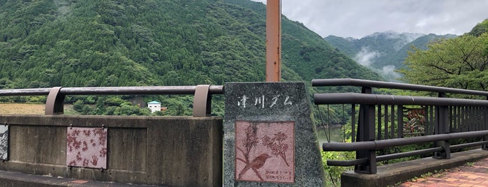 津川ダム is one of ダムカードを配布しているダム（西日本編）.