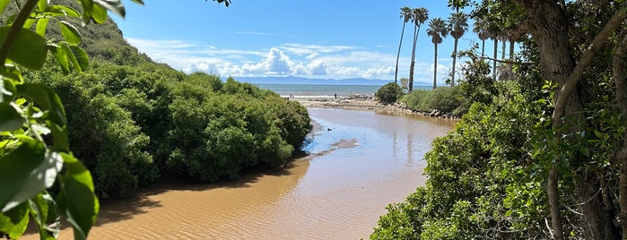 Arroyo Burro Beach is one of Stevenson Favorite US Beaches.