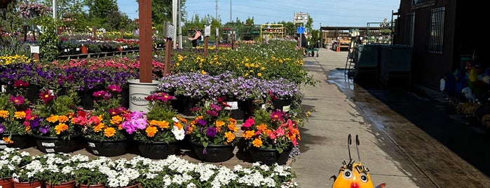 Green Acres Nursery & Supply is one of The 11 Best Places for Flowers in Sacramento.