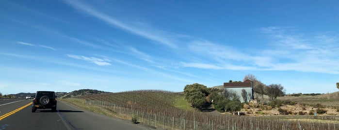 Carneros Wine Region is one of San Francisco 2018.