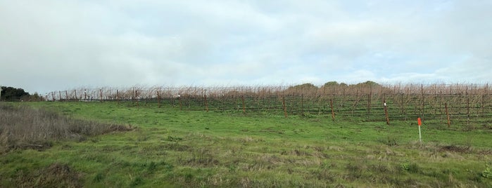 Carneros Wine Region is one of Lugares favoritos de kerryberry.