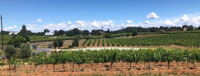 Andis Wines is one of Amador Valley.