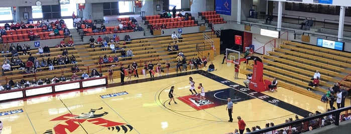 Reese Court is one of NCAA Division I Basketball Arenas/Venues.
