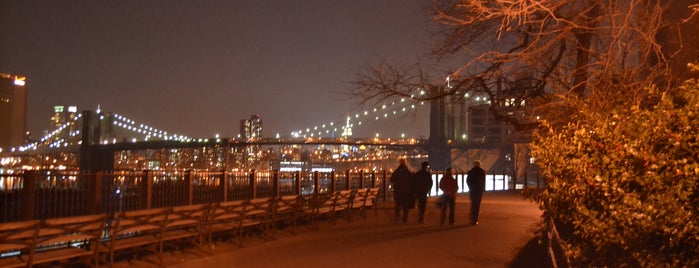 Brooklyn Heights Promenade is one of The Best of NYC Park User Tips.