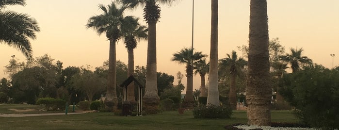 The Palms Golf Club is one of Riyadh.