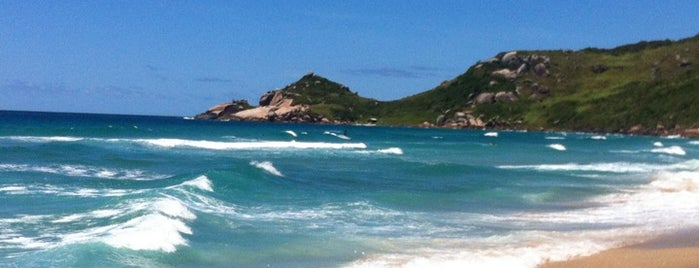 Praia Mole is one of roadtrip floripa.