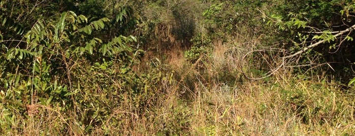 Bushbuckridge Nature Reserve is one of Südafrika.