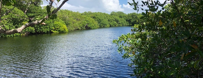 Cenote Encantado is one of Rebeca: сохраненные места.