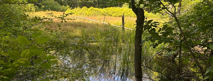 Bradbury Mountain State Park is one of Favorite Great Outdoors.