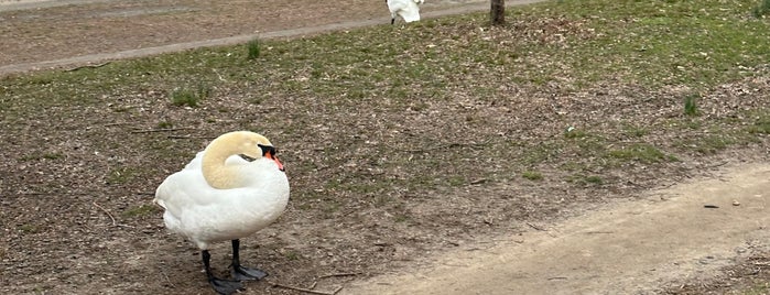 Prospect Park Loop is one of Goodbye, New York.