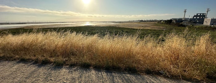 Stevens Creek Shoreline Nature Study Area is one of hiking.