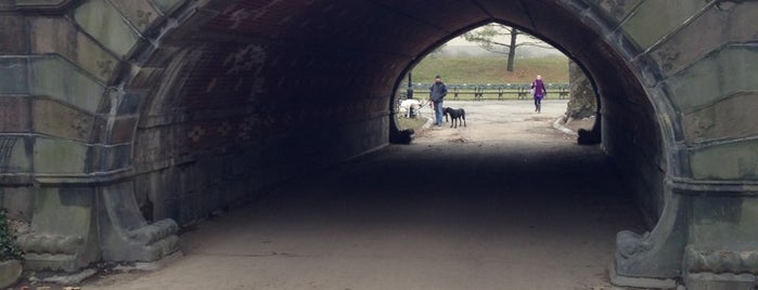 Greywacke Arch is one of Lugares favoritos de Pepper.