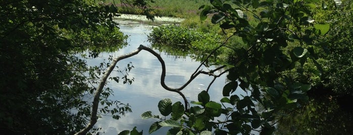 Mass Audubon Stony Brook Wildlife Sanctuary is one of สถานที่ที่ James ถูกใจ.