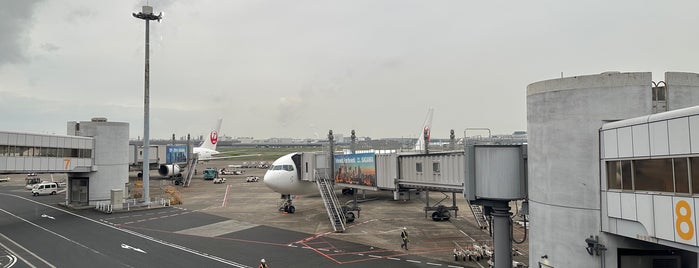 Gate 8 is one of 羽田空港(Haneda Airport, HND/RJTT).
