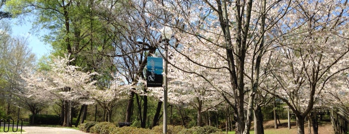 Tuscaloosa Riverwalk is one of Lieux qui ont plu à Tammy.