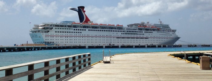 Carnival Elation is one of Great Places.