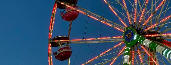 Coastal Carolina Fair is one of Charleston area-Things to do.