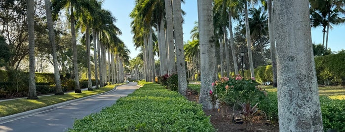 Tiburón Golf Club is one of Florida Golf.