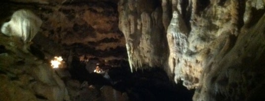 Inner Space Caverns is one of Go Texan ❤.