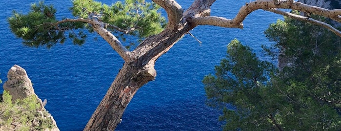 Arco Naturale is one of Lieux qui ont plu à Michael.