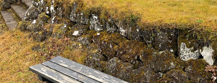 Thingvellir National Park is one of Michael’s Liked Places.