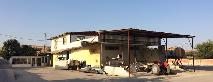 Ekiciler Zeytinyağı Fabrikası is one of สถานที่ที่ Seda ถูกใจ.