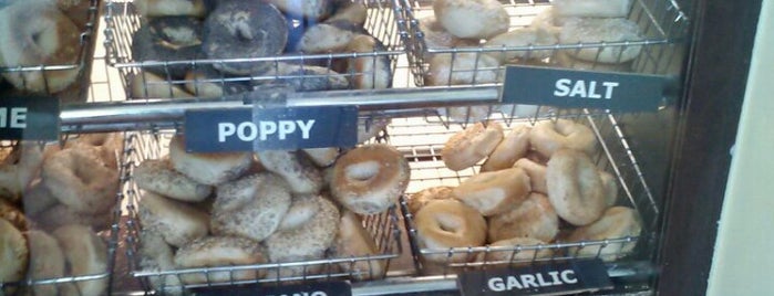 Big Daddy Bagels is one of Boulder - university hill.