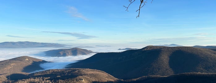 Rezső kilátó is one of Budai hegység/Pilis.