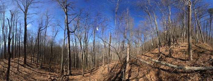 Nantahala National Forest is one of barbeeさんのお気に入りスポット.