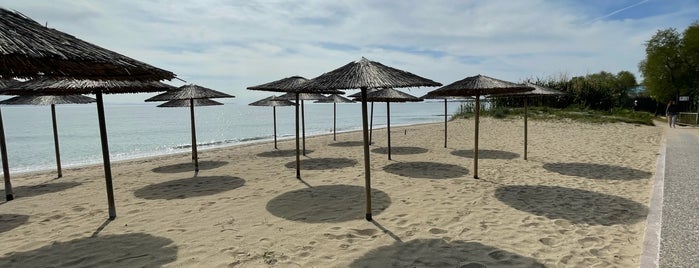 Καλοκαιράκι Beach Bar is one of loytsa.