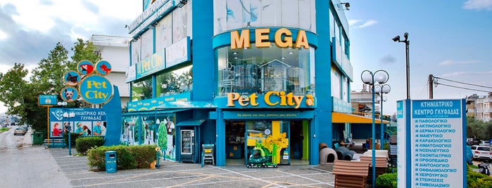 Pet City is one of new spots new era.