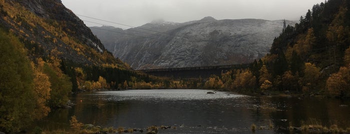 Ringedalsdammen is one of Norway.