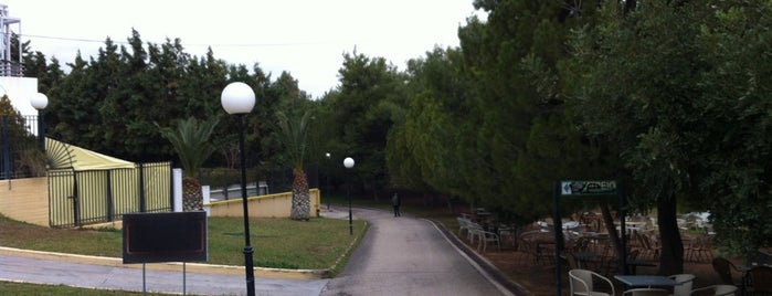 Δημοτικό Γυμναστήριο Γαλατσίου is one of สถานที่ที่ Victoria S ⚅ ถูกใจ.