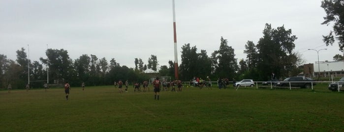 Daom Anexo is one of Rugby en Buenos Aires.