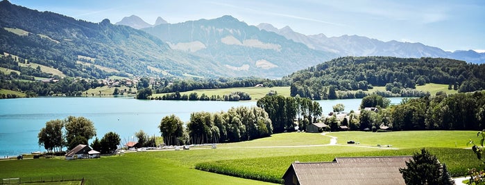 Lac de Gruyère is one of All-time favorites in Switzerland.