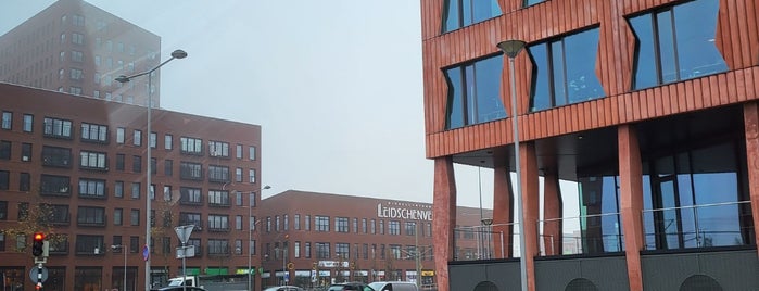 Winkelcentrum Leidschenveen is one of Winkelcentrum Zuid-Holland.