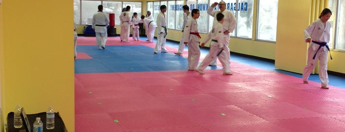 Calgary Taekwondo Academy is one of Faves.