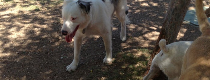 Quail Run Dog Park is one of Phoenix metro Dog-Friendly places.