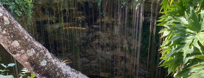 Cenote Ik Kil is one of Mexico.