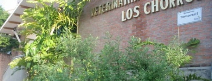 Veterinaria los chorros is one of Tempat yang Disukai Andres.