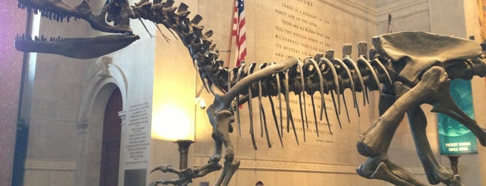 Американский музей естественной истории is one of New York City 2008.
